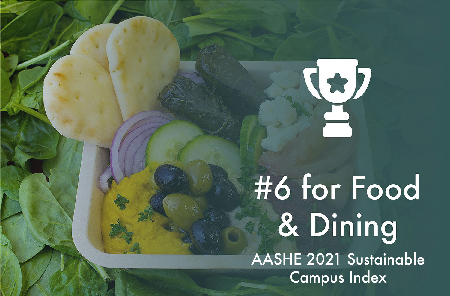 Columbia Dining Recognized in the AASHE 2021 Sustainable Campus Index